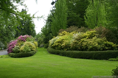 Spring Park Wallpapers   Crazy Frankenstein