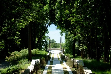 Central Park Image Wallpapers