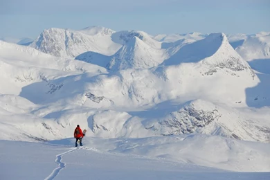 Profile: Andreas Ygre Wiig