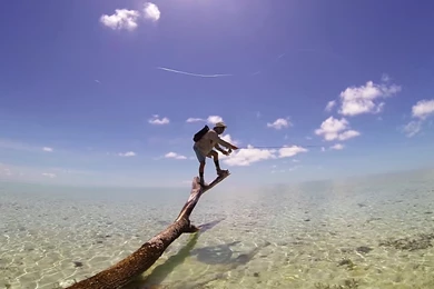 Bahamas Adventure With Travis Rice   World Of Adventure   YouTube