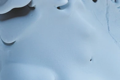 Travis Rice Interview   The Art Of Flight   Whitelines Snowboarding