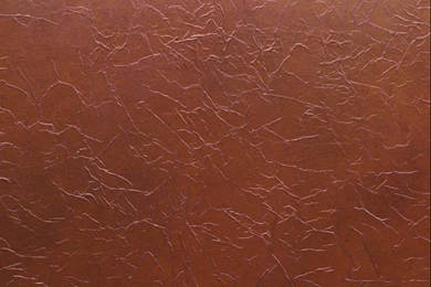 Tissue Paper Wall Treatment