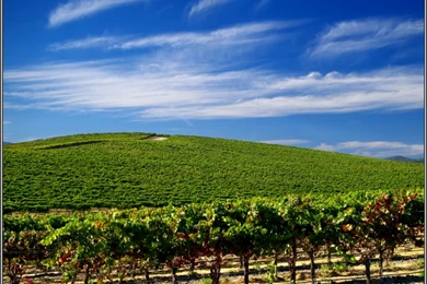 Windows Xp Wallpapers Location