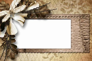 Paper Vintage Retro Flower Petals Blank Wallpapers