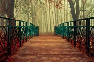 Fantasy Nature Trees Forest Seasons Bridges Reality Kr Wallpapers ...