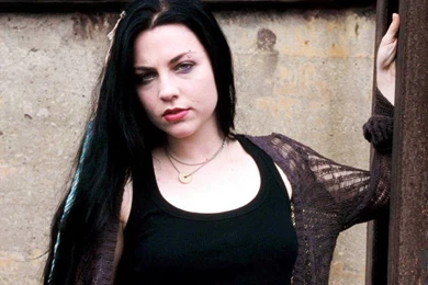 Amy Lee Quotes. QuotesGram