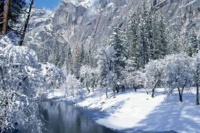 Free Winter Scene Wallpapers 2015 Grasscloth Wallpapers