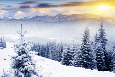 Winter Mountain Scene Wallpapers Widescreen   Uncalke.com