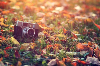 Vintage Wallpapers Hd Iphone