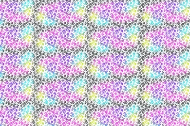 Damask Fluro Desktop Wallpapers