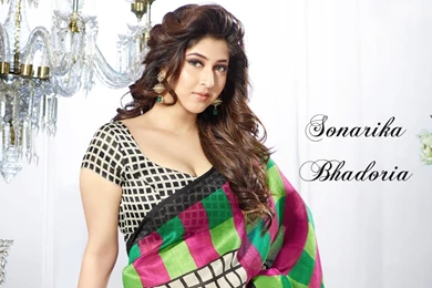Sonarika Bhadoria Hot Hd Wallpapers   Free Hd Wallpapers
