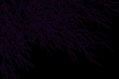 Dark Purple Background Images