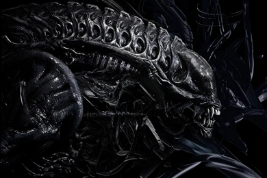 Xenomorph Wallpapers