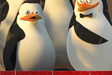 Android Hd Wallpapers 10 Best Cool Collection