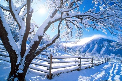 Winter Season Screen (id: 34591) – BUZZERG