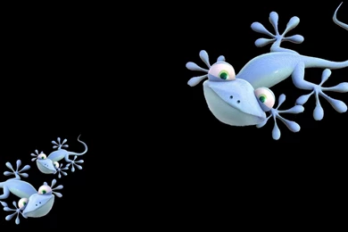 3d Animal Backgrounds Wallpapers