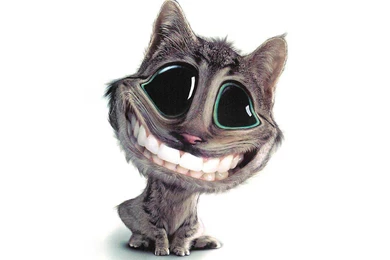 Funny Animals Wallpapers 3D Funny Animals Desktop Wallpapers 3D ...