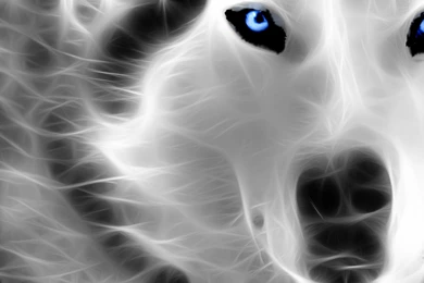 3d Wallpaper Download Animals Image Num 93