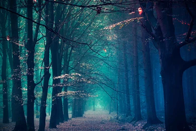 Winter Tree Lock Screen 2160x1920 Samsung Galaxy Note 3 Wallpapers ...