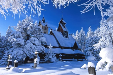 Winter Free Wallpapers   Wallpapers Cave