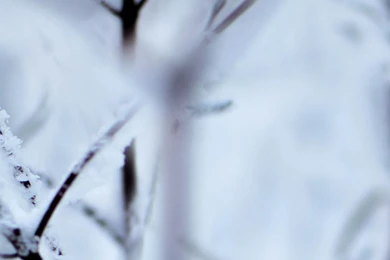 Wallpapers Triple Multi Multiple Monitor Screen Hiver Winter ...