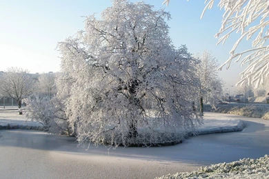 Winter Archives   HD Wallpapers Source