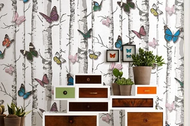 Birch Tree Temporary Wallpapers   2ft X 9 Ft   Single     Amazon.com