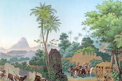 Zuber Wallpapers Reproductions < Images & Galleries