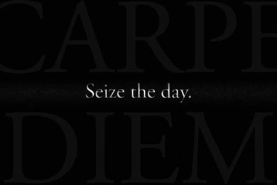 Carpe Diem : Desktop And Mobile Wallpapers : Wallippo