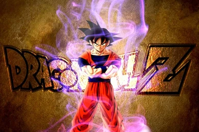 Dragon Ball Z Wallpapers Goku   Wallpapers Cave