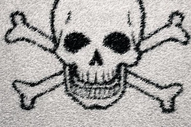 Wallpapers Hd Iphone