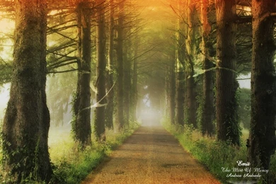 Amazing Nature Wallpapers   Wallpapers HD Base