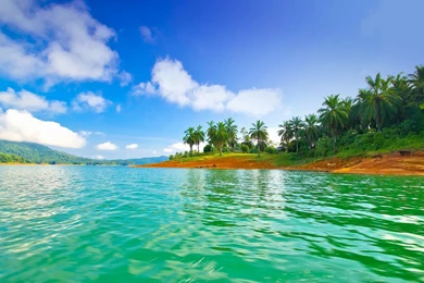 Organic Photos, Amazing Nature Wallpapers, Plants, Green, Hd ...