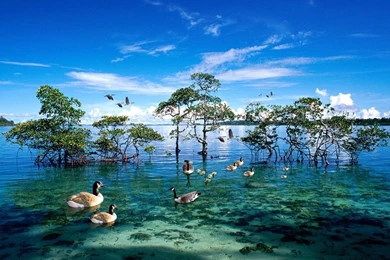 Amazing Pictures Of Nature