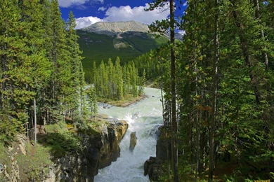 YouWall   Amazing Nature Wallpapers   Wallpaper,wallpapers,free ...