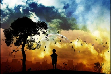 Most Beautiful Wallpapers Amazing Backgrounds