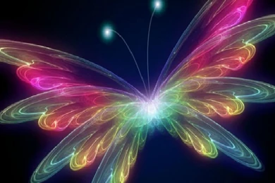 Very beautiful 3d hd hq colorful butterfly wallpapers