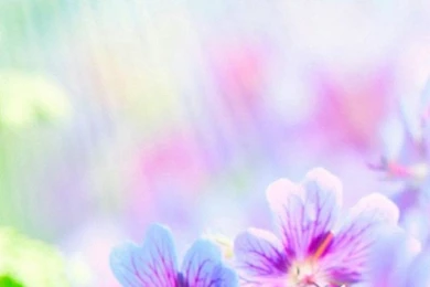 1080x1920 Colorful Wallpapers HD