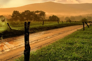 Free Nature Backgrounds For Dual Screens