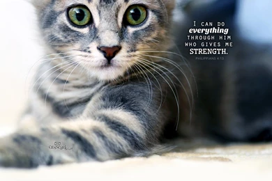 Bible Verse Wallpapers   Free Christian Scripture Backgrounds