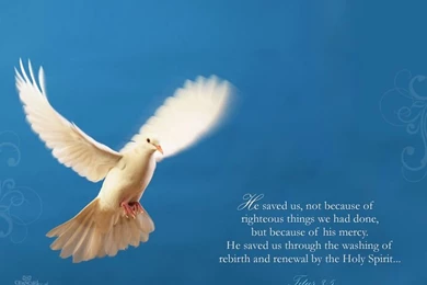 Fall Scripture Wallpapers