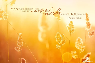 Scripture Desktop Backgrounds   Wallpapers Cave