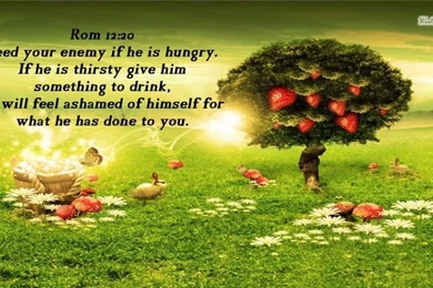 Free Bible Verse Wallpapers   Wallpapers Cave