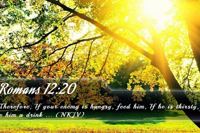 Bible Wallpapers   Free Bible Verse Wallpapers 9