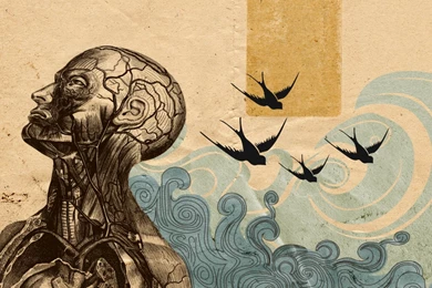 Wallpapers Human Anatomy 1920x1080