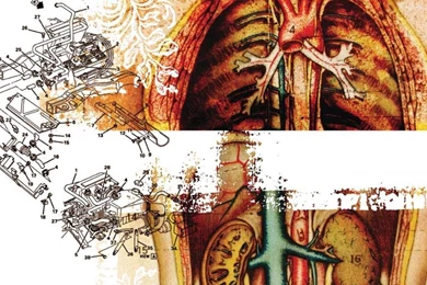 Body Engine Moar Anatomy Human Art HD Wallpapers Wallpapers ...