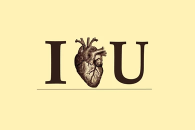 Love, Anatomy Wallpapers HD / Desktop And Mobile Backgrounds