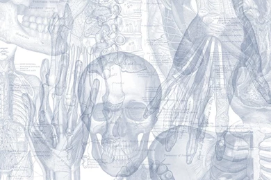 Gray's Anatomy Wallpapers By GreiaPrince On DeviantArt