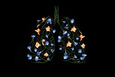 38 Anatomy HD Wallpapers