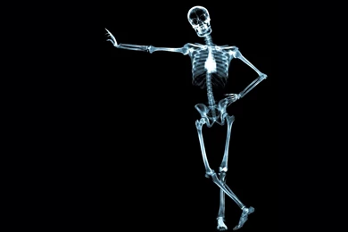 Skeleton Wallpapers   Wallpapers Cave